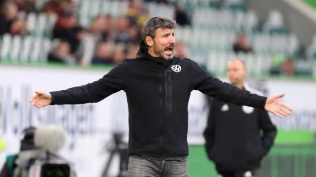 深圳队需要 深圳队需要