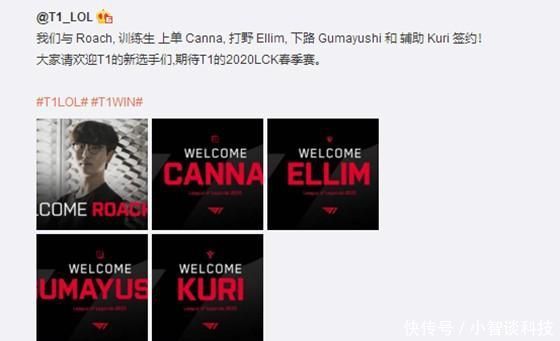 了一种新的 了一种新的