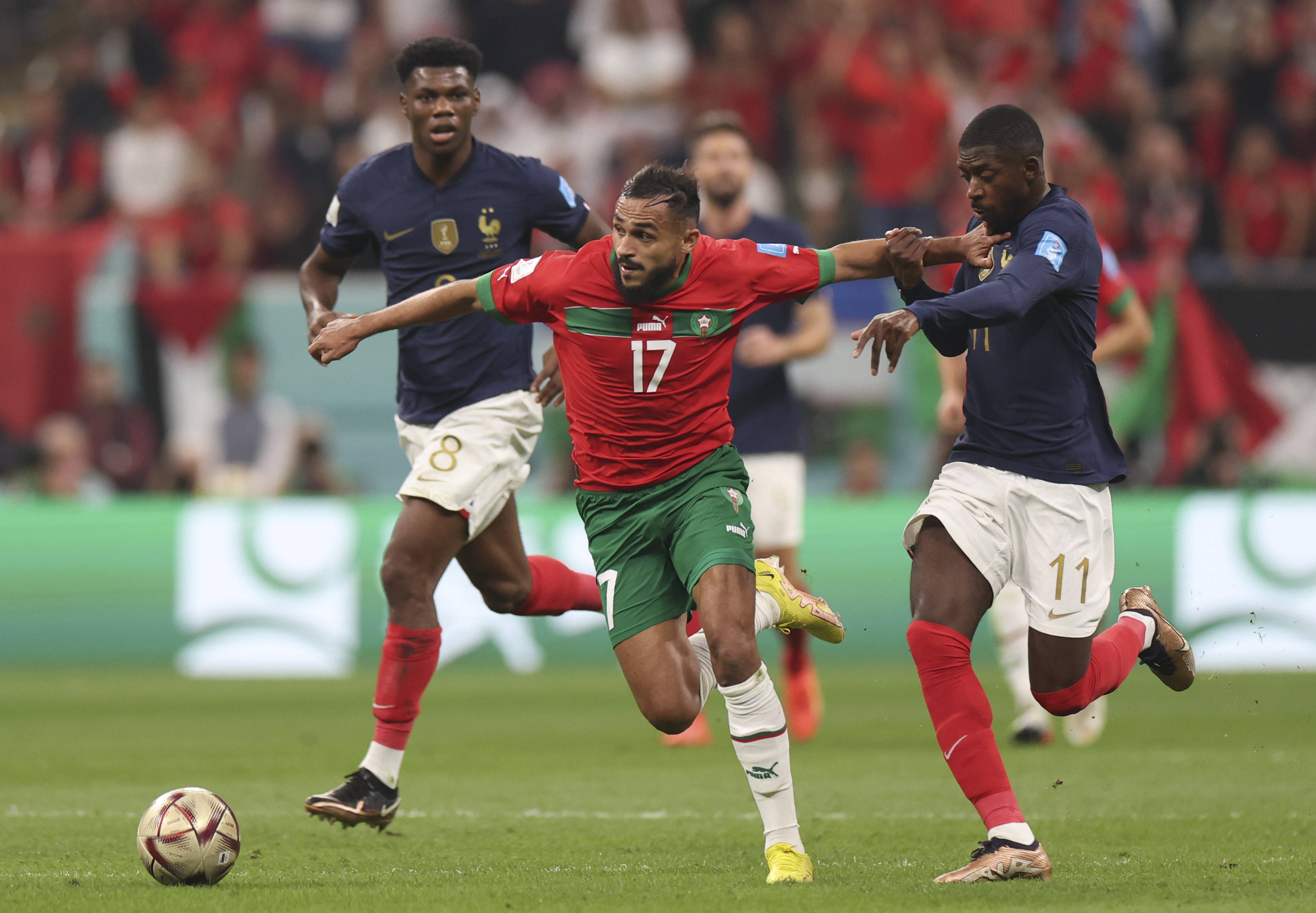 清晰的战术 清晰的战术